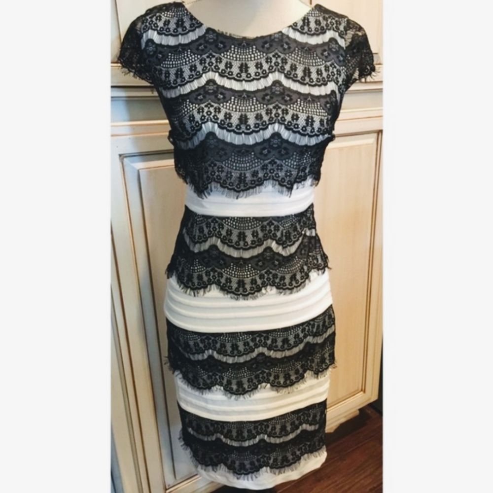 Lace Sheath Bodycon Fitted Cocktail Party Dress
